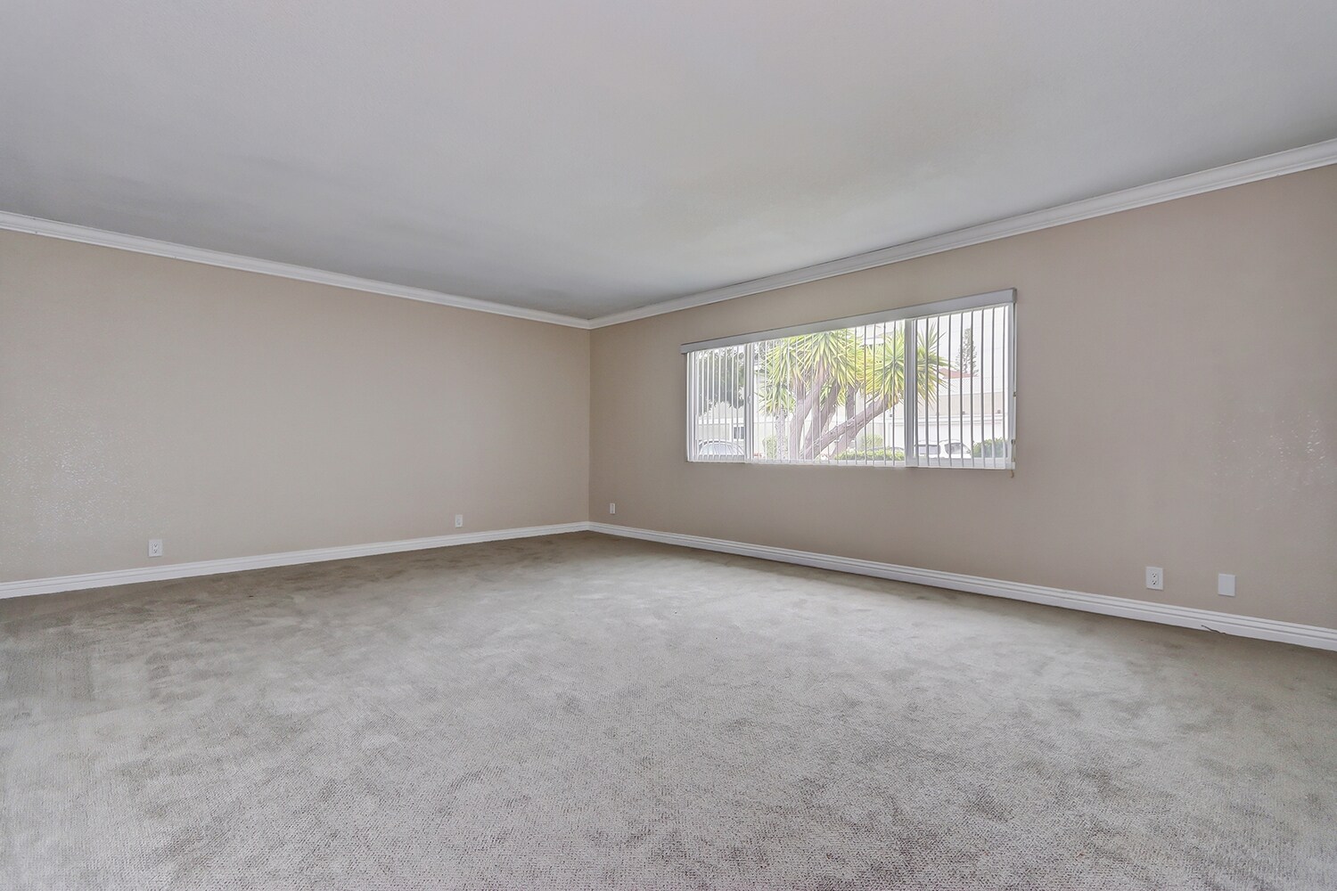 Building Photo - 2407 Mackay Ln