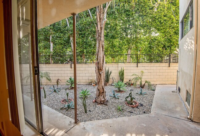 Building Photo - cas8556