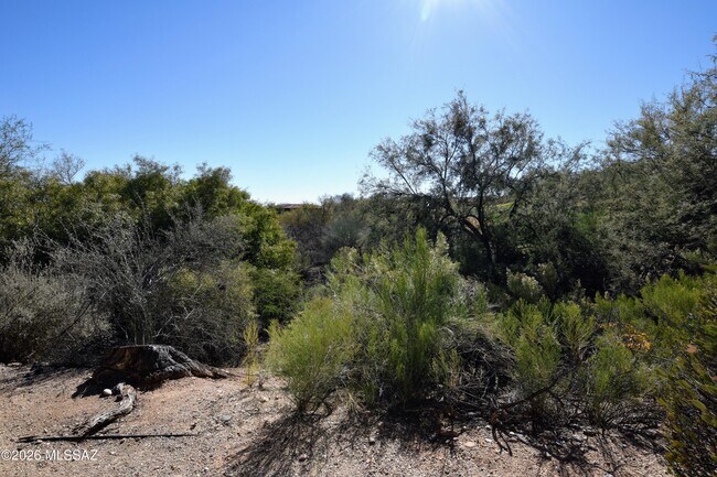 Building Photo - 5855 N Kolb Rd