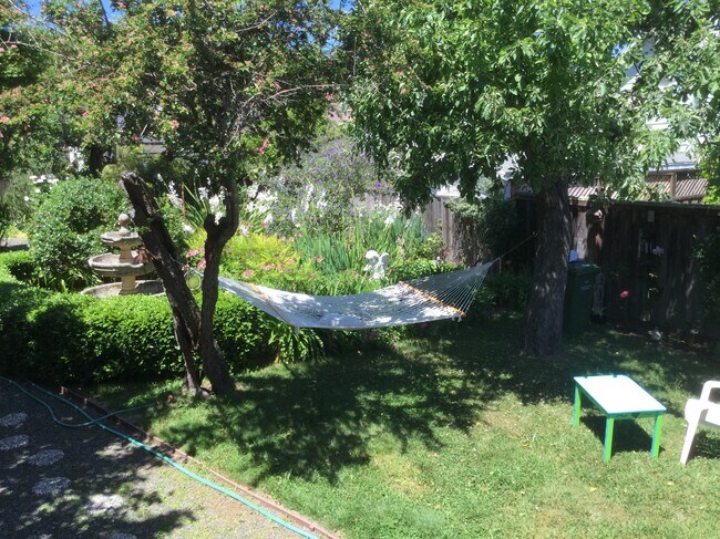 garden - 11 Marin St