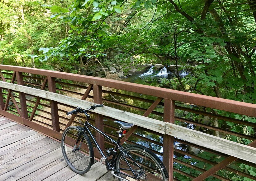 Sligo Creek near Maple Ave - 7333 New Hampshire Ave