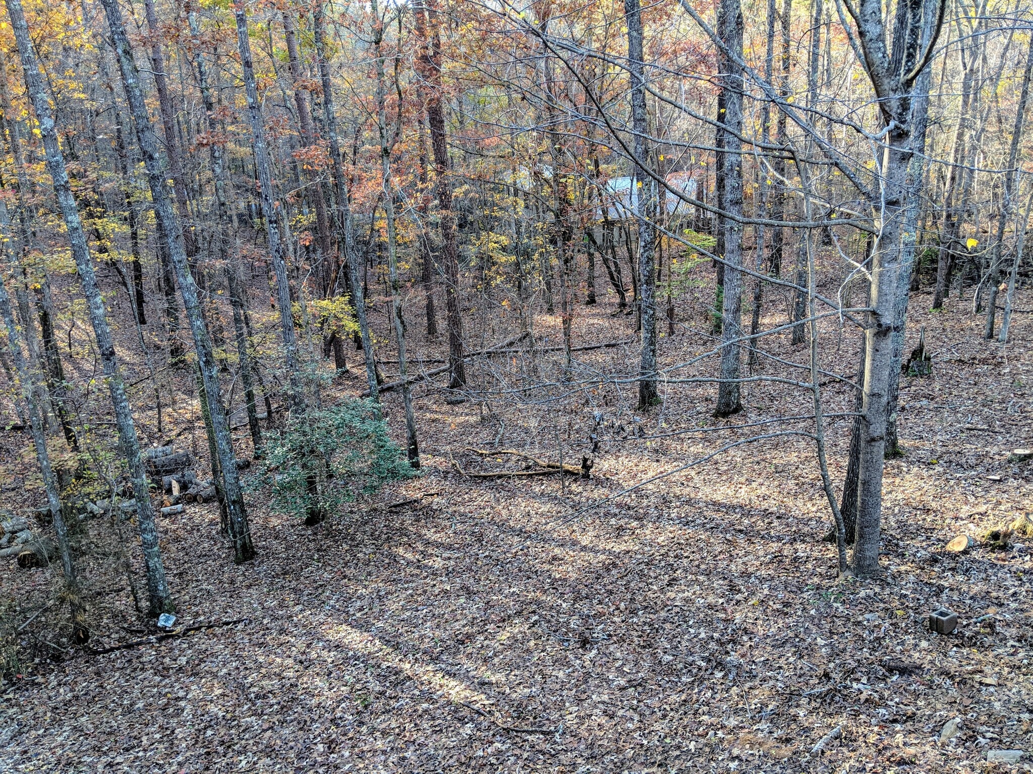 view from back porch - 386 Eagle Mountain Dr West