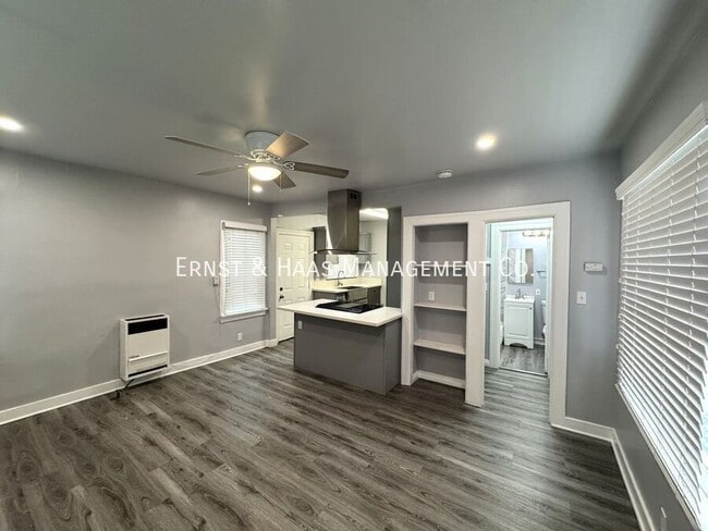 Building Photo - 1119 St Louis Ave