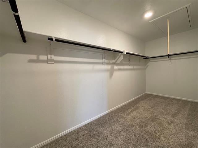 Building Photo - 364 Wildrose Cir