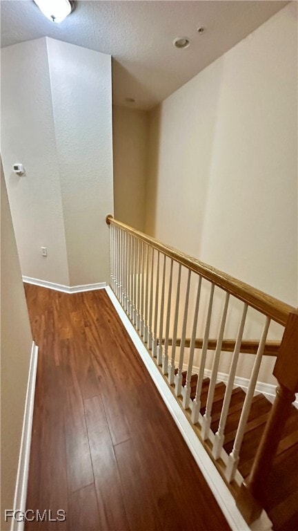 Building Photo - 4380 Lazio Way