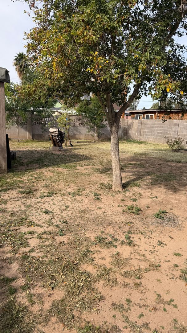 Building Photo - Cottage in the Wilbur Historical District in Mesa