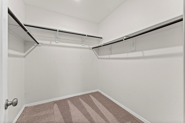 Building Photo - 10818 Catclaw Ct