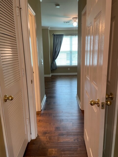 Hall to master - 7245 Highway 70 S