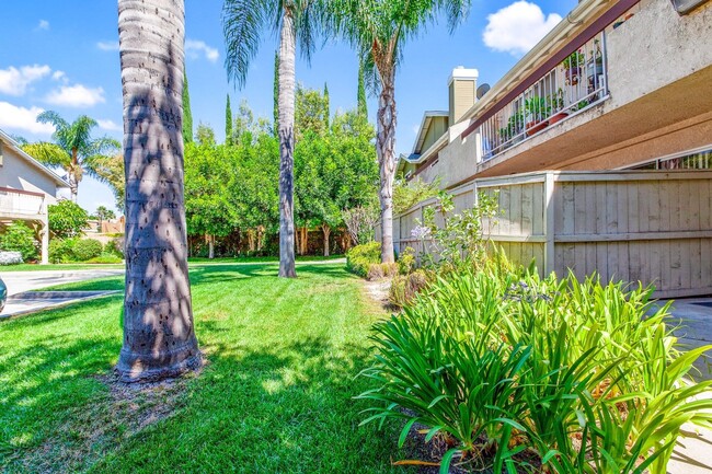 Interior Photo - Palm Court Apartments