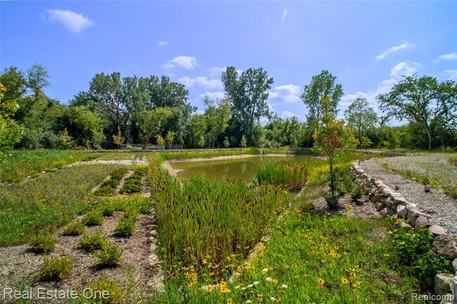 Building Photo - 49530 Coldwater Rdg Dr