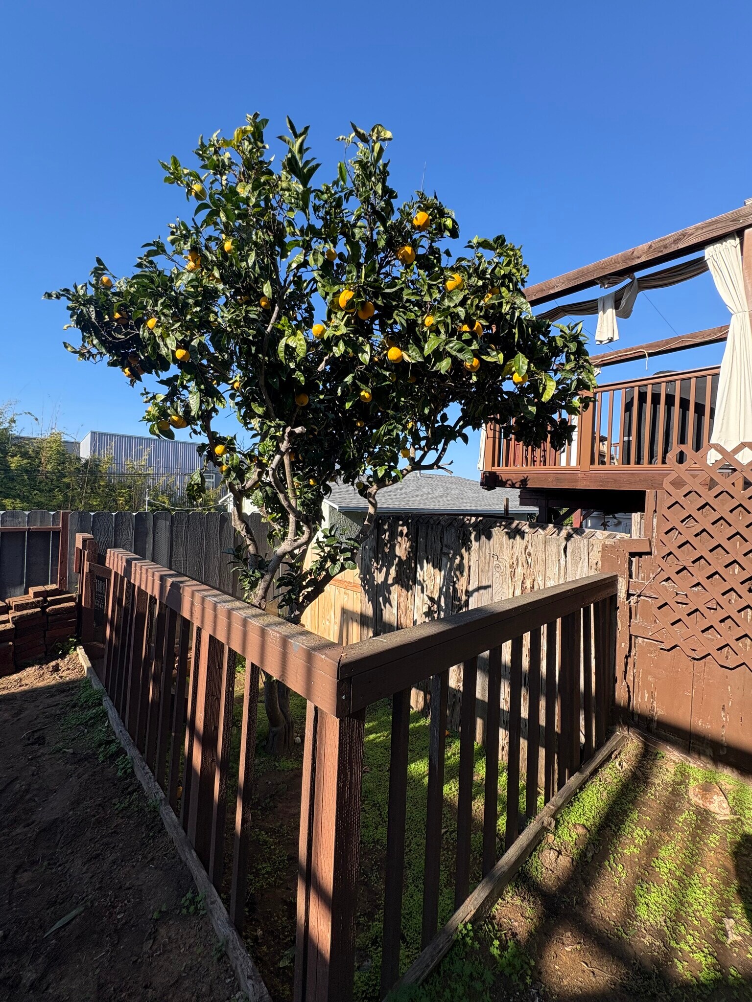 Building Photo - 4617 Del Monte Ave