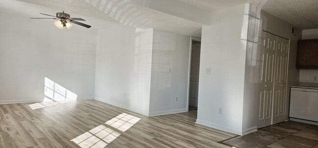 Building Photo - Beautifully updated 4 Bedroom/2 Bathroom downstairs apartment