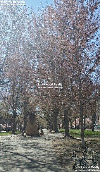 Building Photo - 195 Commonwealth Ave