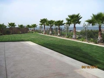 Building Photo - Upgraded 5 Bedroom Home with Spectacular V...