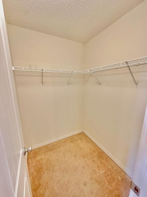 Building Photo - 8347 Tavira St