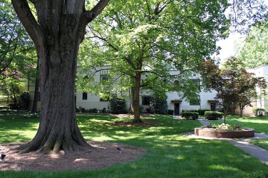 courtyard - south view - 1121 Myrtle Ave