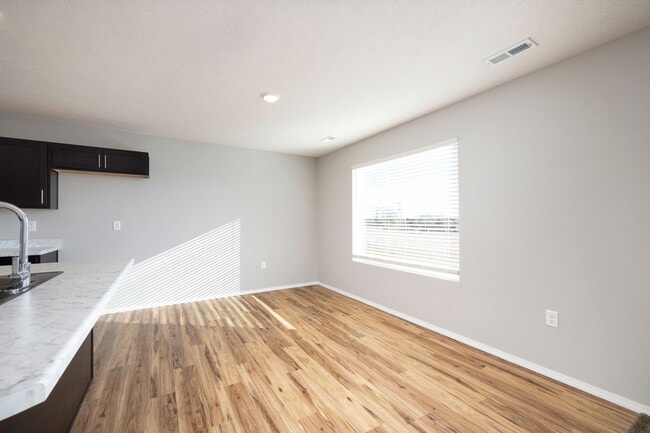 Building Photo - Brand New 3 Bedroom Home in Aurora