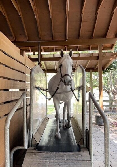 Building Photo - 1711 Stallion Dr