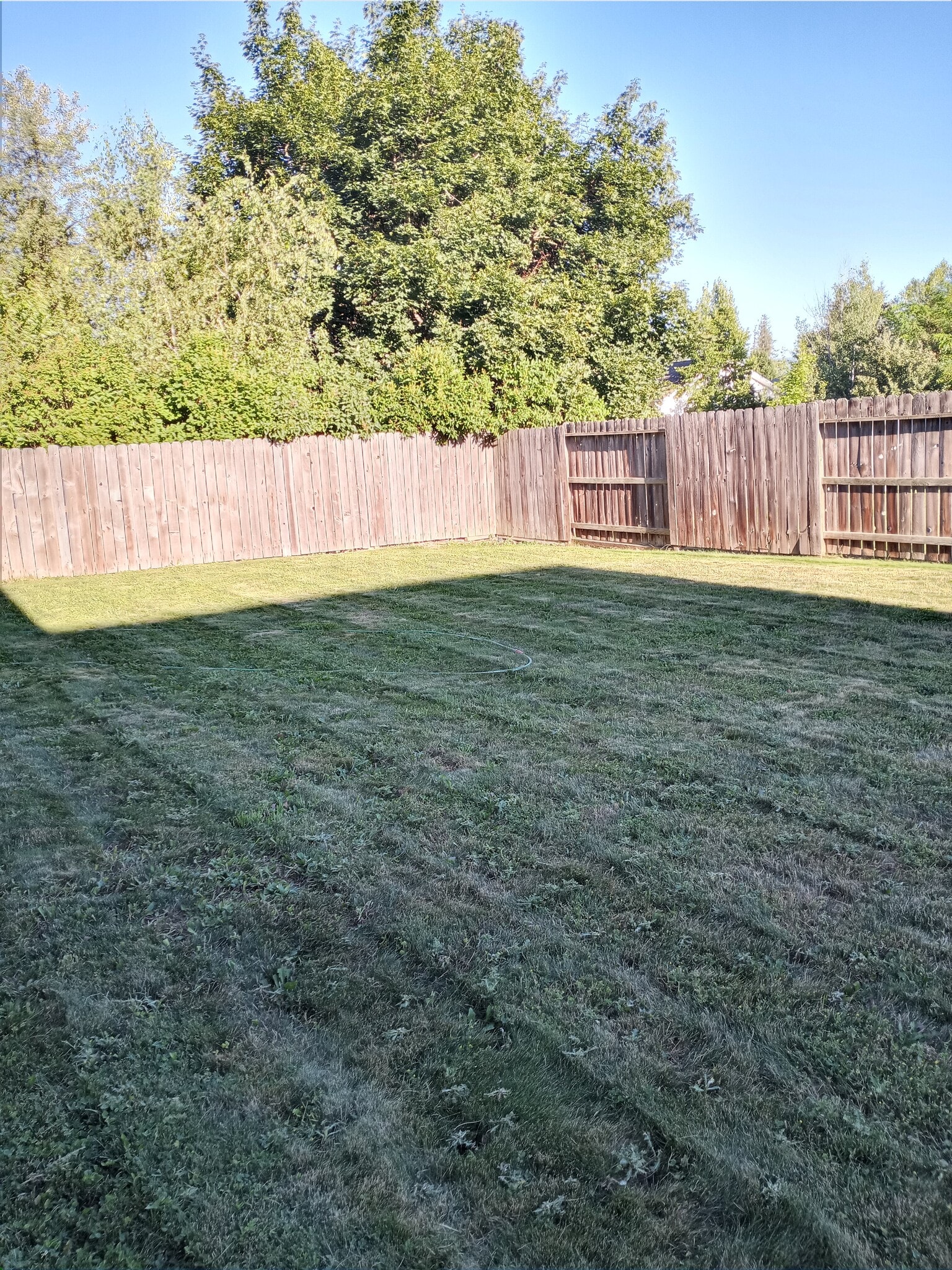 Large fenced yard - 1605 Cedar St