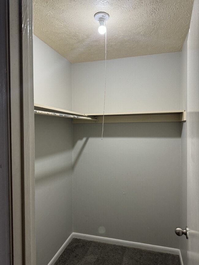 Building Photo - 3210 Tallywood Dr