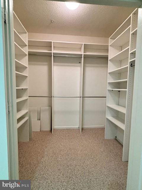 Building Photo - 1708 Lake Shore Crest Dr