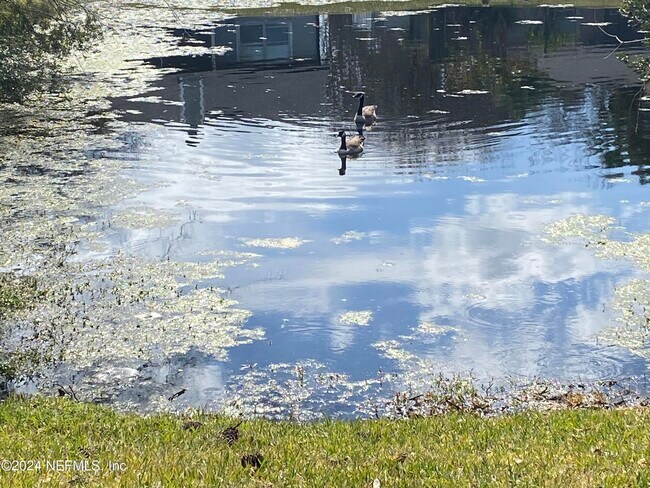 Building Photo - 11486 Kimberly Forest Dr