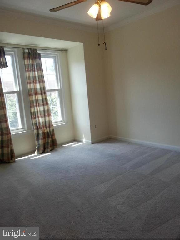 Building Photo - 12002 Lisa Marie Ct