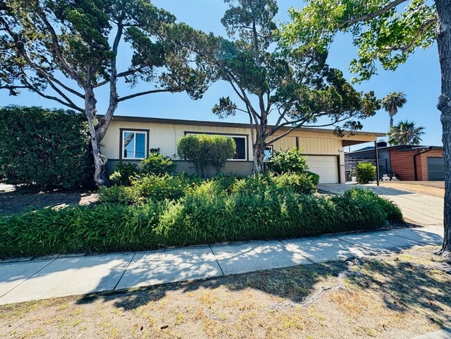 Primary Photo - 4 BED / 2 BATH NEAR SDSU w/ LARGE BACKYARD...