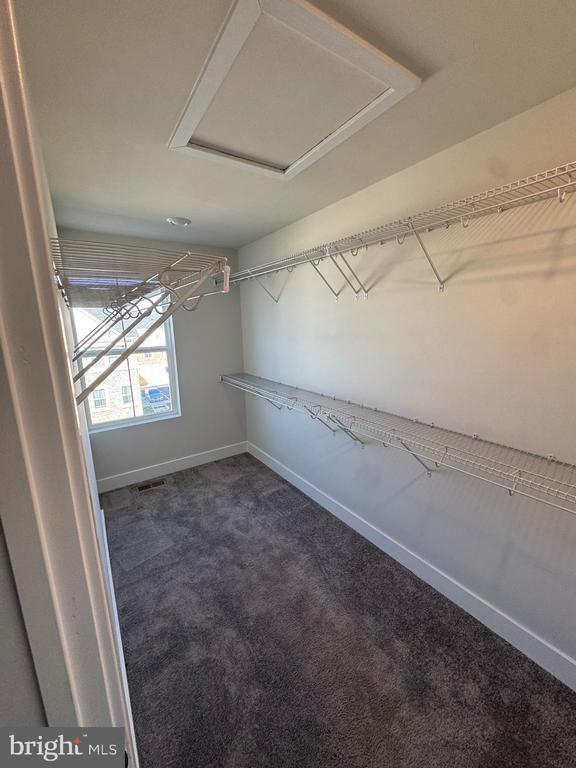 Building Photo - 4151 Skipton Pl