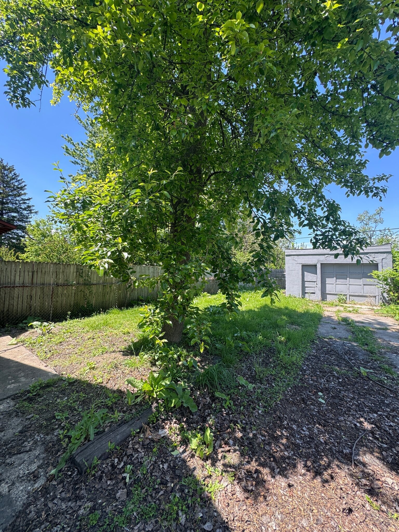 Building Photo - 703 Ashwood Ave