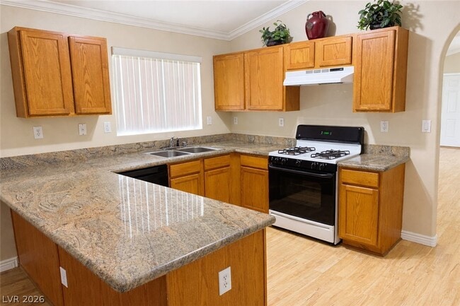 Building Photo - 4447 Blue Mist Ct