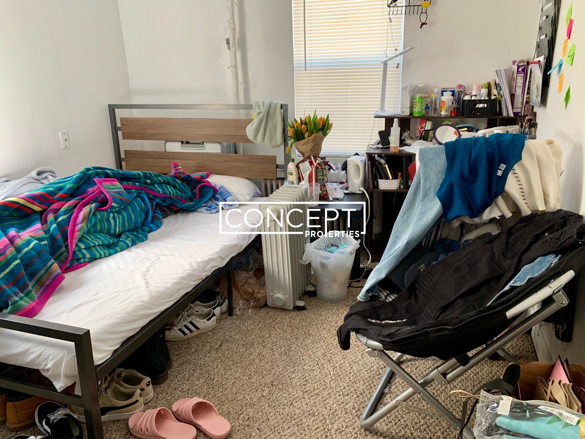 Building Photo - 10 Shepard St