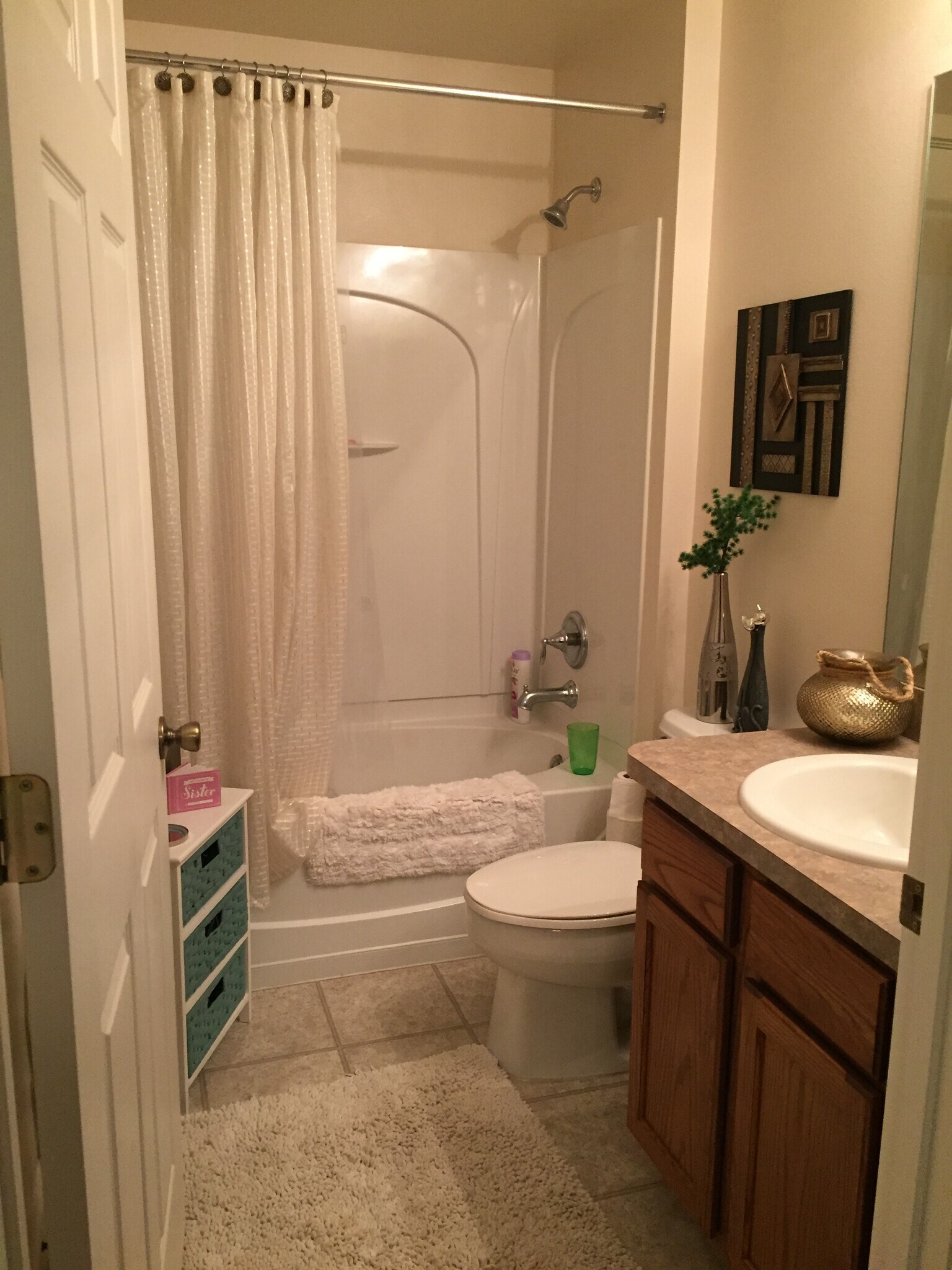 Master Bathroom - 4590 Radiant Way