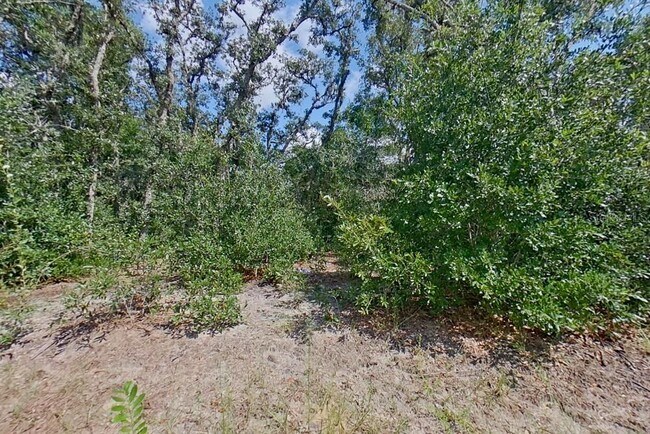 Building Photo - 2907 W Camilo Dr