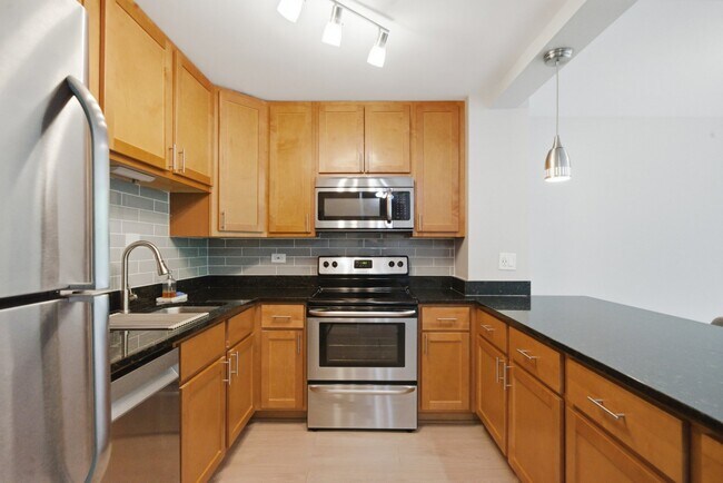 Building Photo - 1255 N Sandburg Terrace