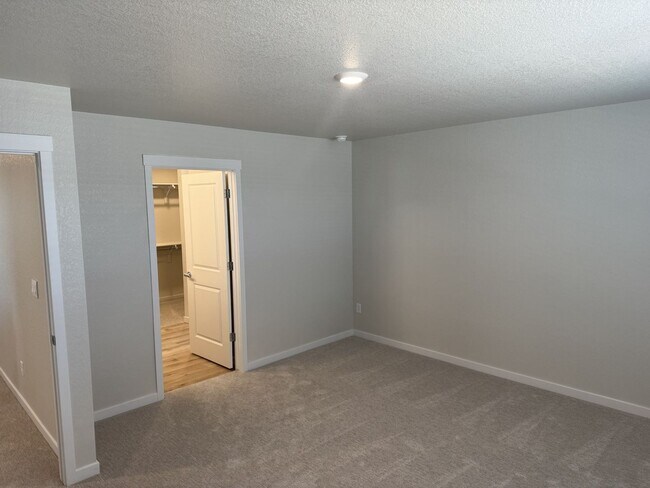Building Photo - Stunning Brand New Home Close To Lowry & DIA