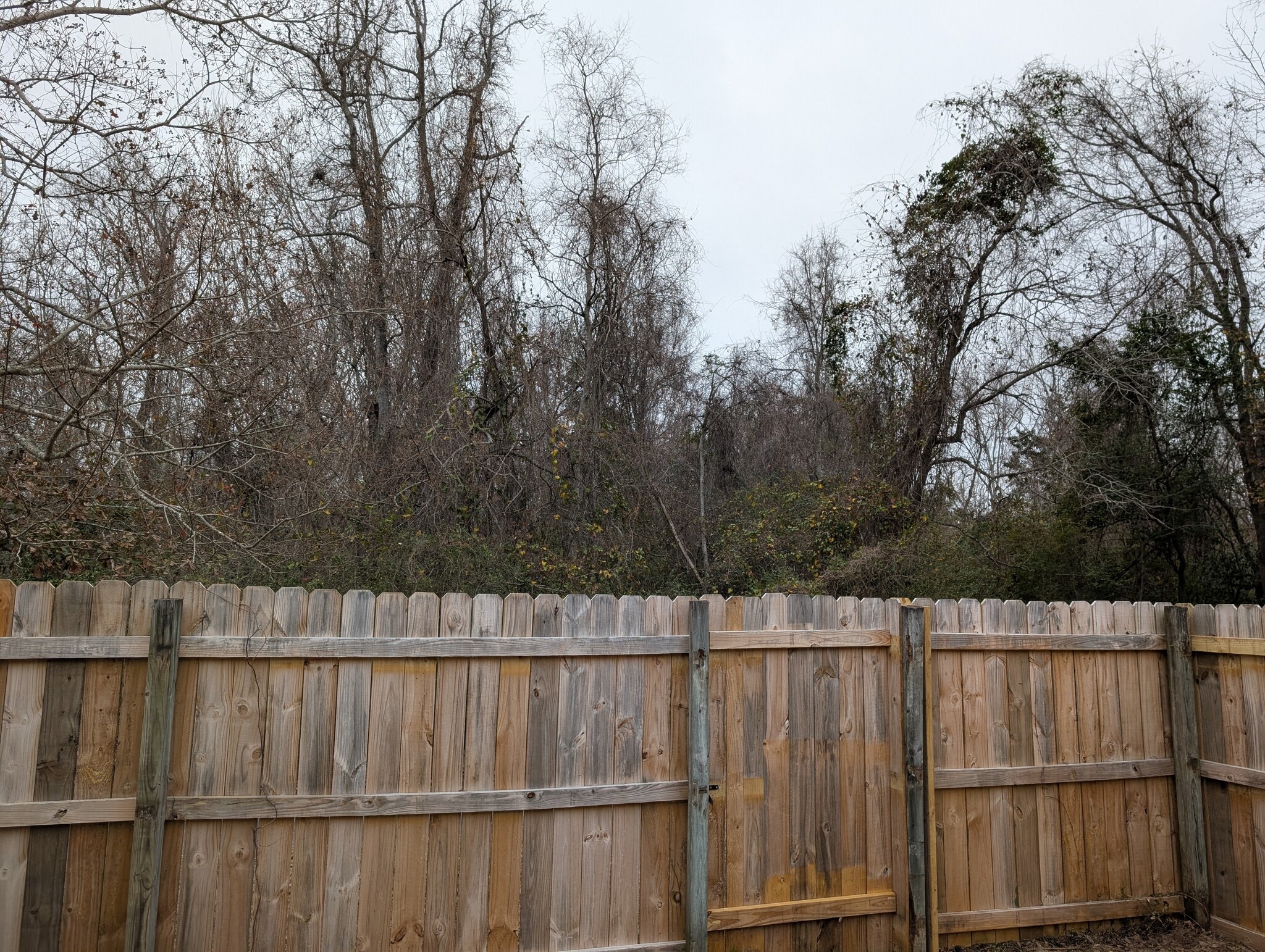 Building Photo - 1381 Pinnacle Ln