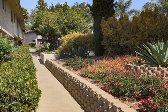 Building Photo - Casa Monterey Apartments