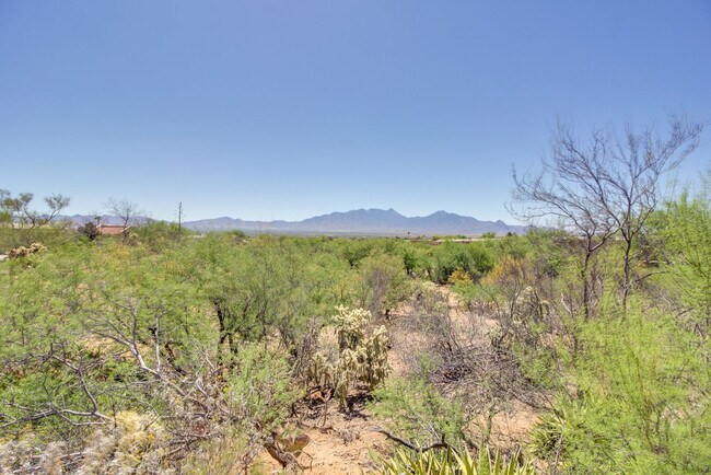 Building Photo - 815 Placita Topa