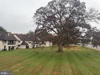 Building Photo - 1320 Afton Ct