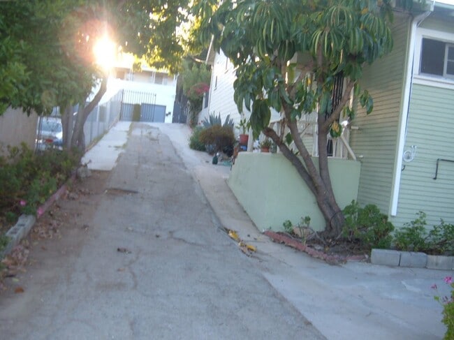 View from driveway to street - 1644 Mohawk St