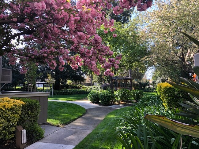 Scenic Views - Briarwood Apartments