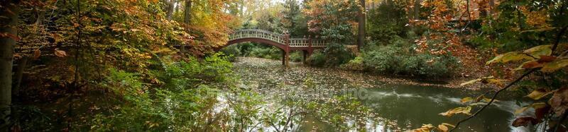 Building Photo - 732 Scotland St