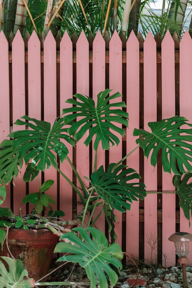 Building Photo - 446 27th St