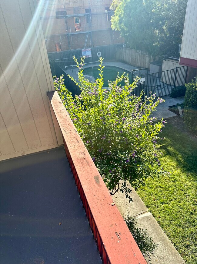 Building Photo - 447 Oak Ave