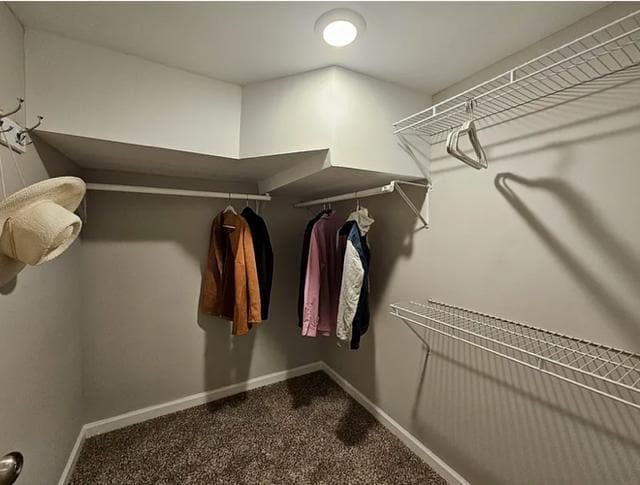 Building Photo - 105 Mayme Ct