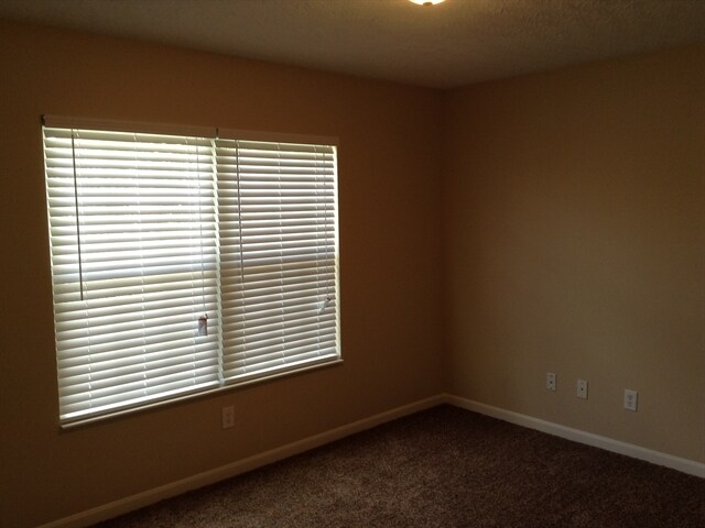 Building Photo - 10099 Brandsteade Ct