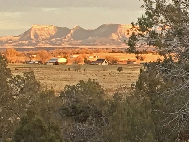 Building Photo - Tiny House Country Living