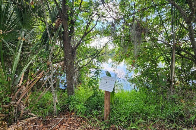 Building Photo - 10687 Lake Montauk Dr