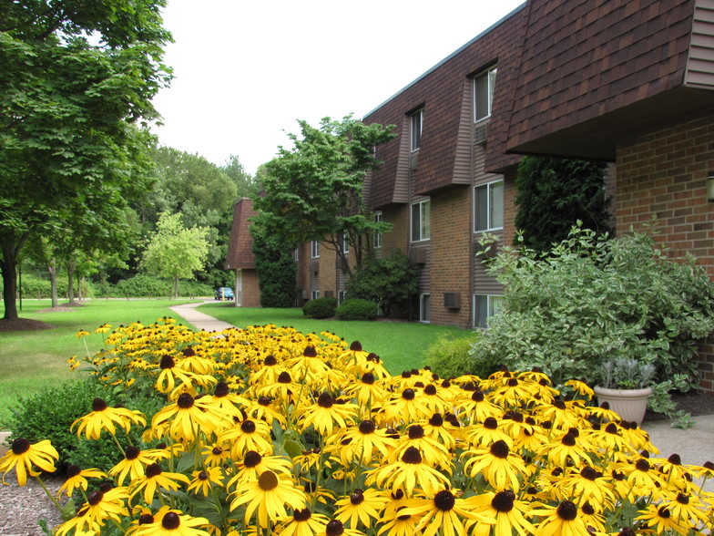 Primary Photo - Kent Village Apartments